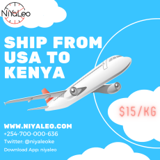 US to Kenya Shipping